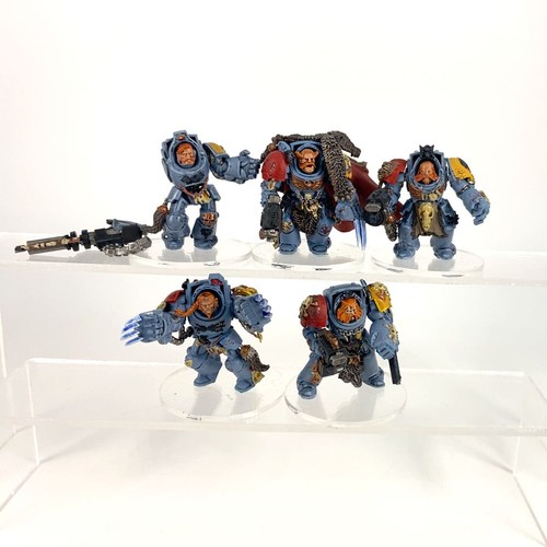 Terminators guardie lupi - x5,