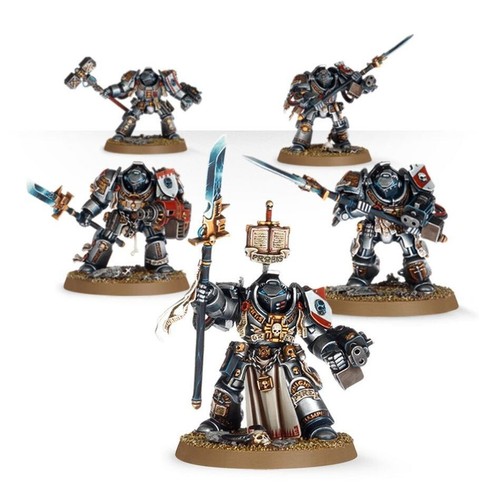 Paladin squad terminator - paladin,