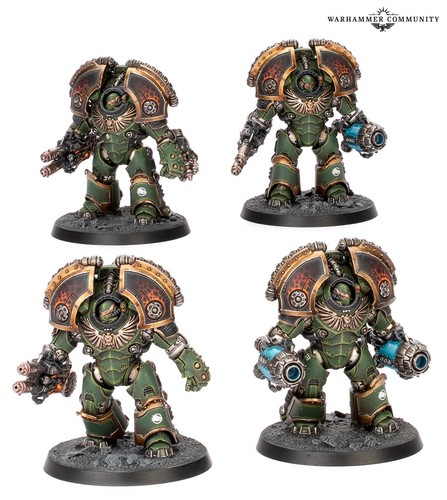 Terminators saturnine - saturnine,