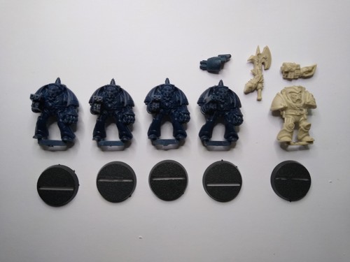 W40k space marines 5x - w40k, rogue