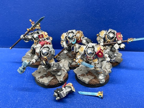 Terminator cavalieri grigi - 5,