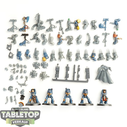 Space wolves wolf guard - space,