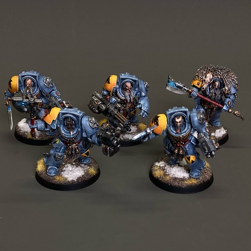Warhammer 40k lupi spaziali - warhammer,