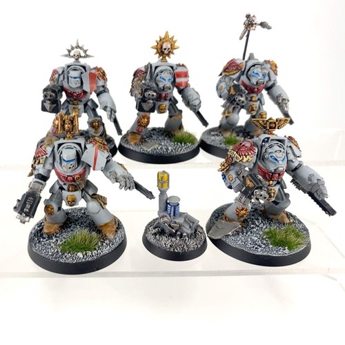 Terminators plastica - x5,