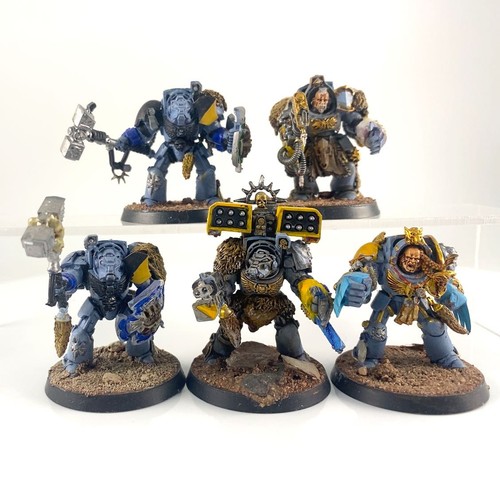 Terminators guardie lupi - x5,