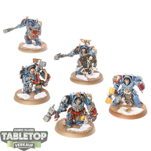 Space wolves wolf guard - space,