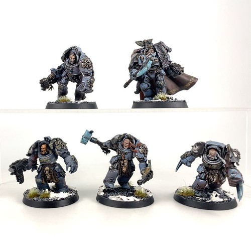 Terminators guardie lupi - terminators,