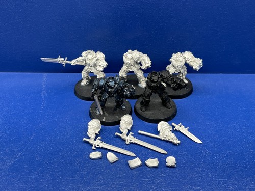 Raro terminator cavalieri - 5,