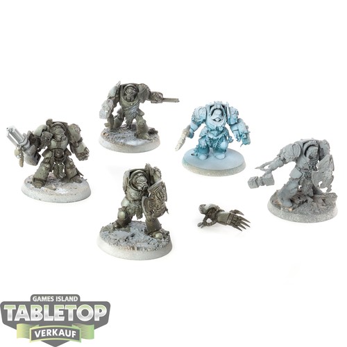 Space wolves wolf - space,