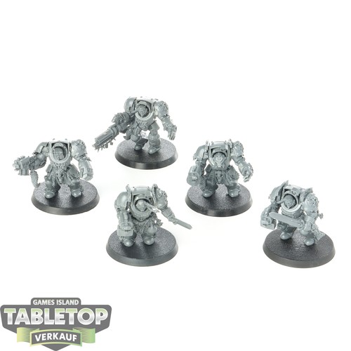 Space wolves 5x terminator - space,