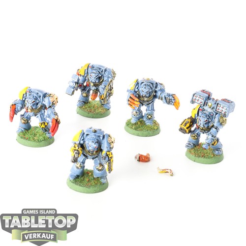 Space wolves x terminator - wolves,