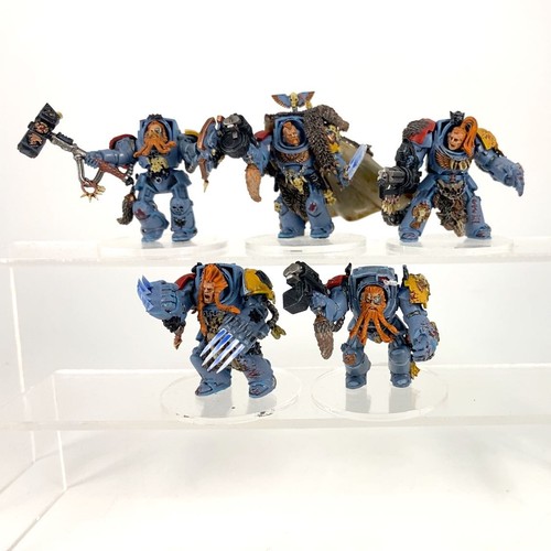 Terminators guardie lupi - terminators,