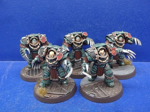 Cataphractii terminator - 5,
